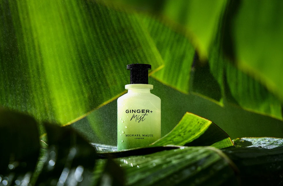 Ginger + Mist By Michael Malul 3.4 Oz Eau de Parfum
